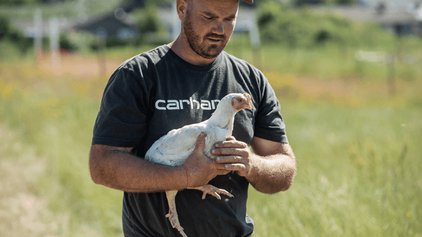 5 benefits to supporting local farmers and meat producers | Meatme.ca ...